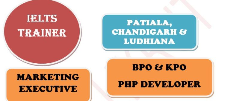 job placement services in chandigarh